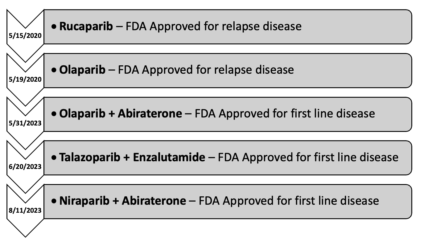 PARP_summary