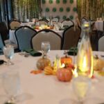 Screenshot_24-11-2025_121958_melissaathedaphotography.pic-time.com