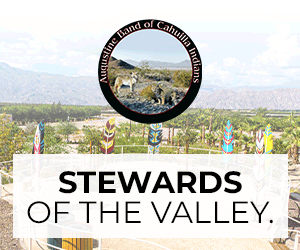 Economic-Impact-300x250