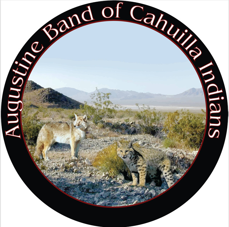 Screenshot 2025-12-16 133959