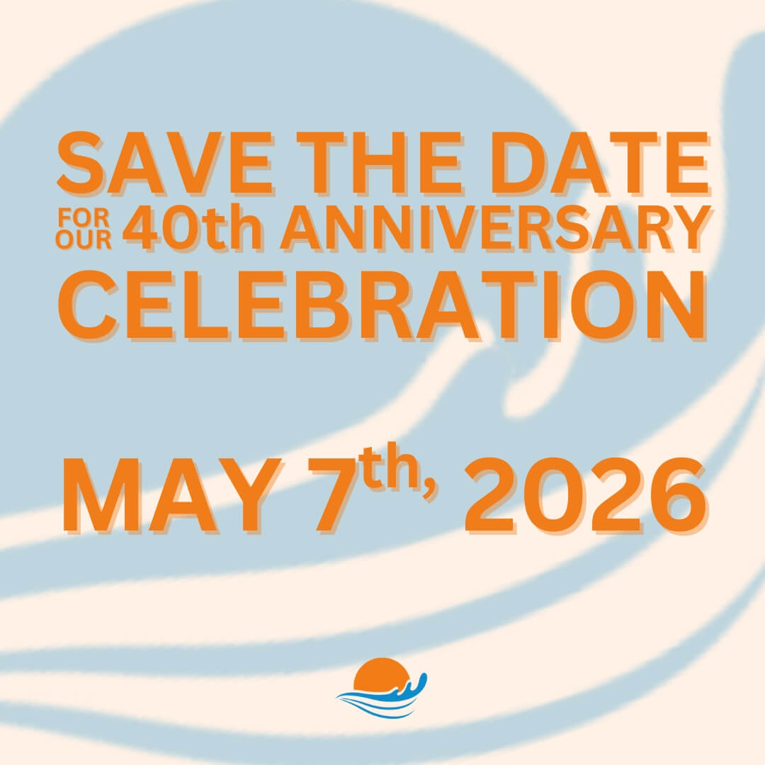 BOARD NOMINATIONS - 1