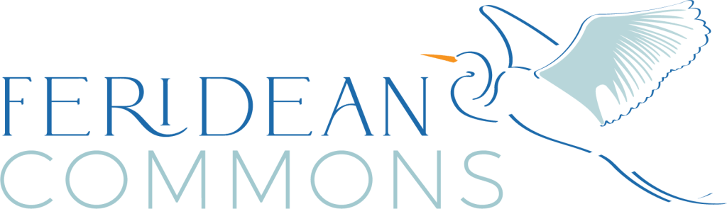 Feridean-Commons-Logo-1024x295