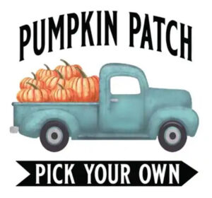 old blue pickup loaded with orange pumpkins