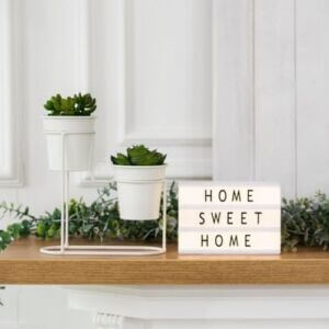 plants and home sweet home sign
