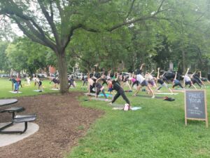 people practicing yoga in a park