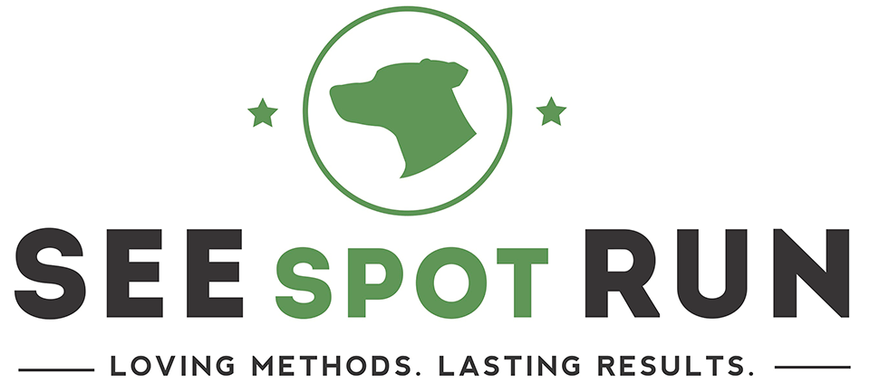 See Spot Run