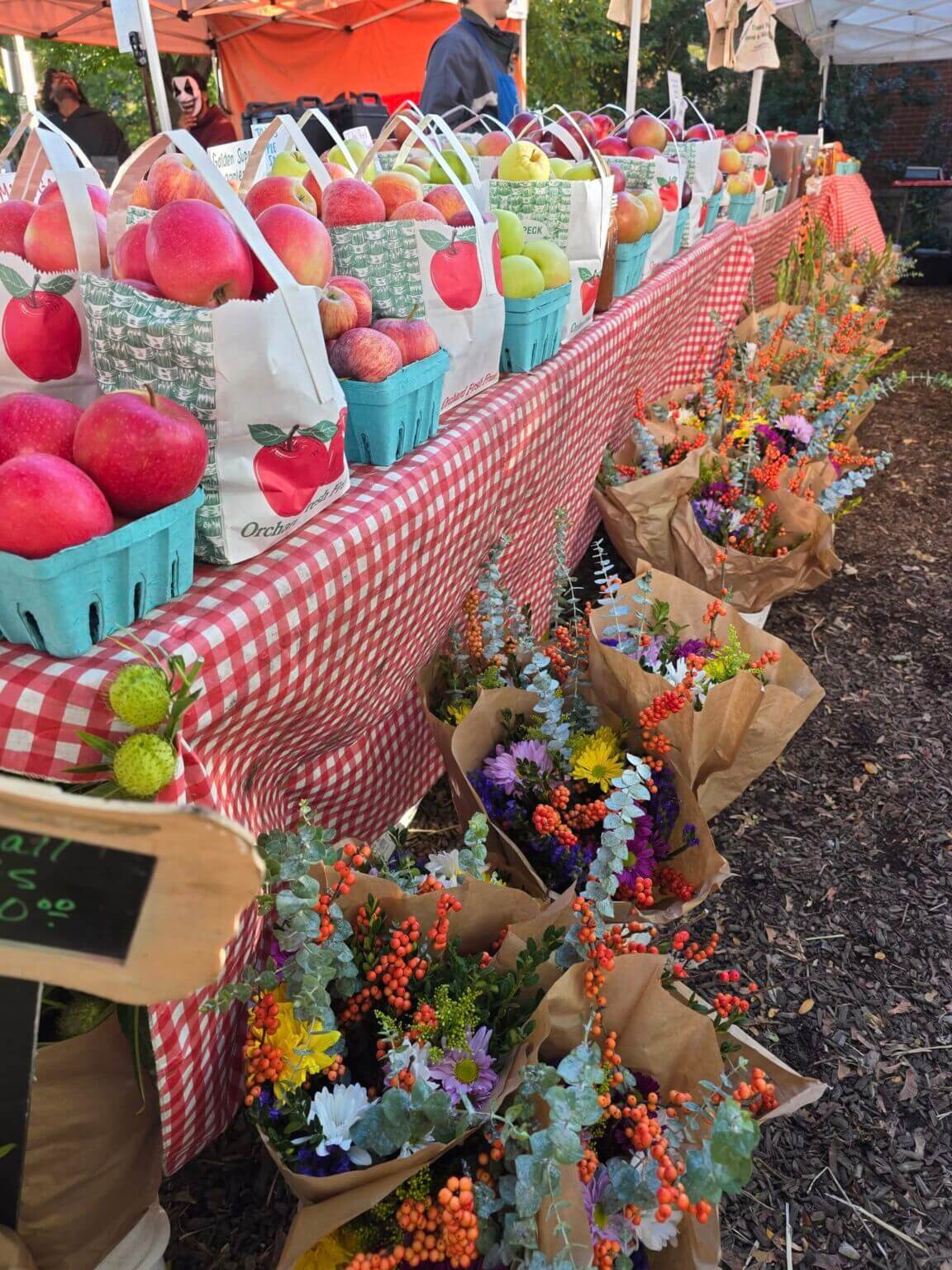 571195269_2046362429523284_2523384798433009608_n