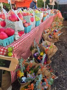 571195269_2046362429523284_2523384798433009608_n