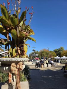 571442029_2046361912856669_3460927524028069127_n