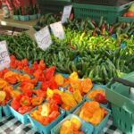 545610607_2001269520699242_6733175319331202307_n