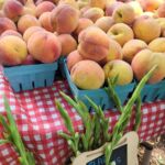 545654946_2001268954032632_2834879334638523045_n