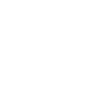 save our street fest logo_white (2)