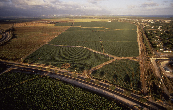 aerial view of city of kapolei circa 1990 - sugar cane fields