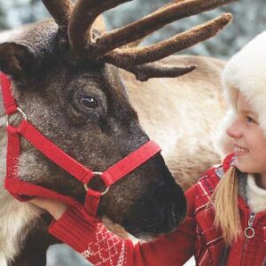 ReindeerLiveSquareNewsletter