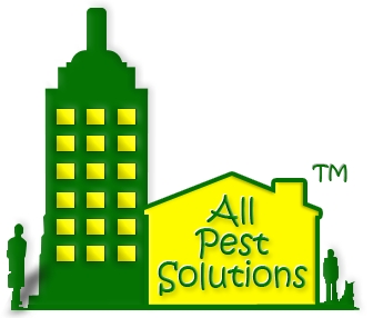 All Pest Solutions