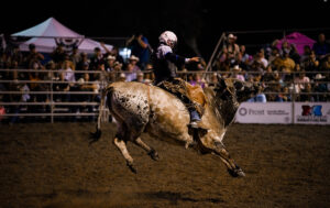 Wylie Rodeo 2025-047