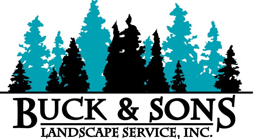 Buck and Sons