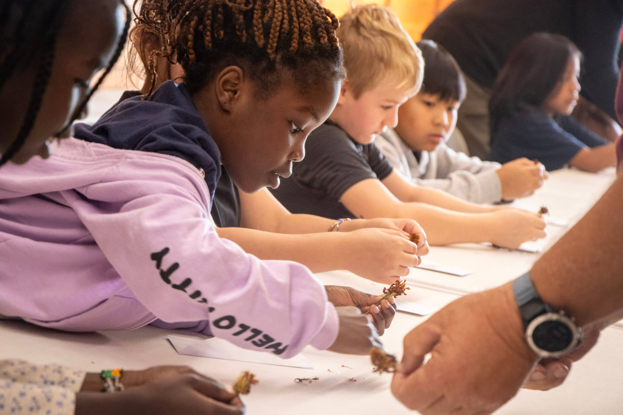 5-IMG_9660 5-IMG_9660