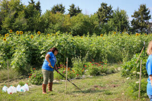 LANDLab Student Gardens