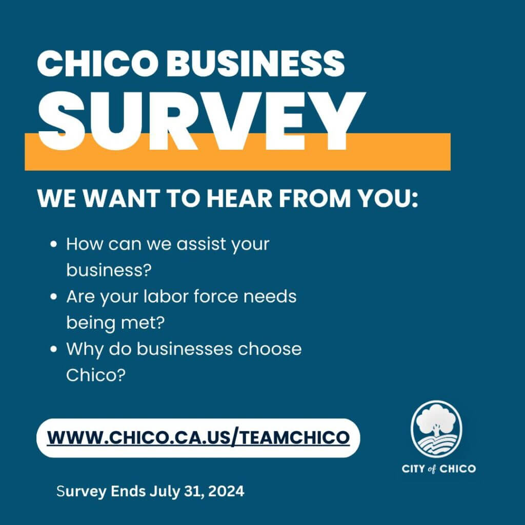 Team Chico - Business Survey - IMAGE JUNE 2024