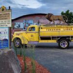 pow wow days lions truck