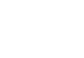 Woodstock Area Chamber logo
