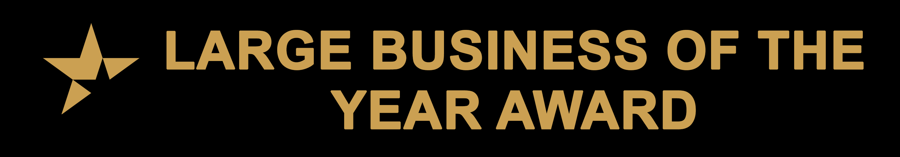 large business of the year award name only