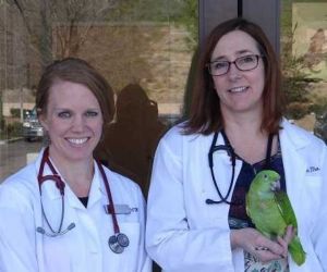 two vets standing and one is holding a green parrot