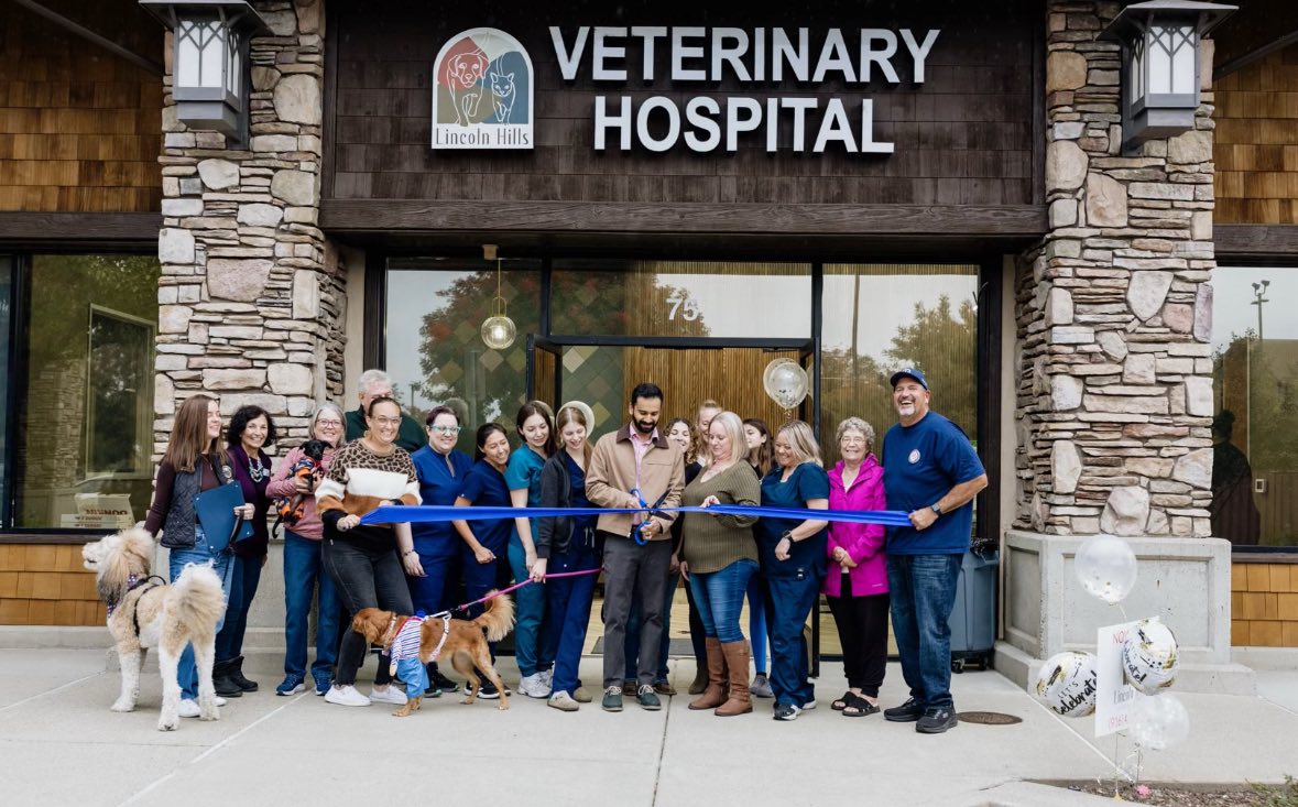 LincolnHillsVet LincolnHillsVet