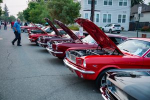 classic cars classic cars
