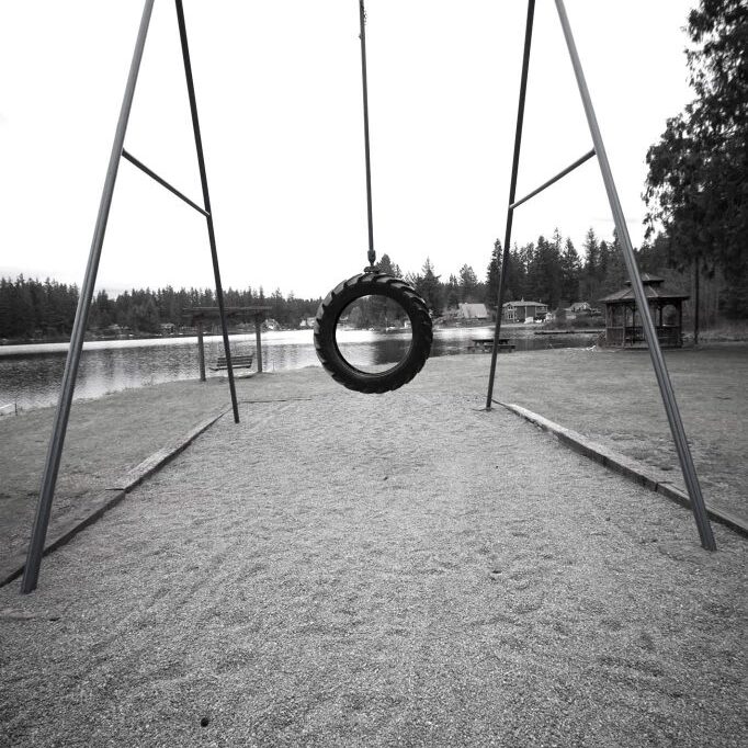 Giant-TireSwing-682x1024-square