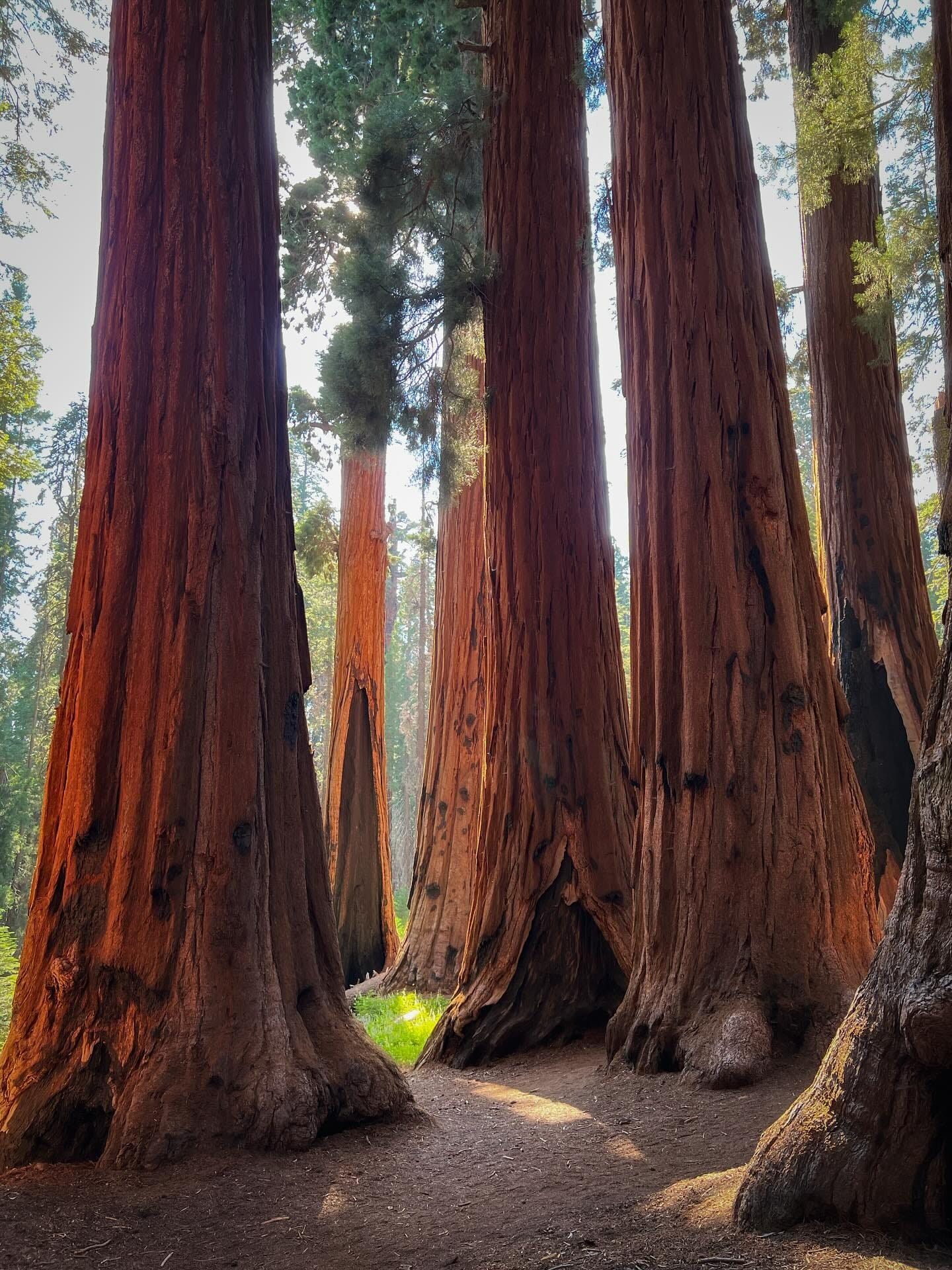 569158718_1617236516273262_6747489320959284246_n