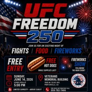 UFC 2 UFC 2