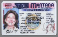 montana drivers license 