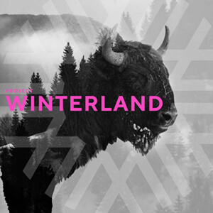 Project Winterland