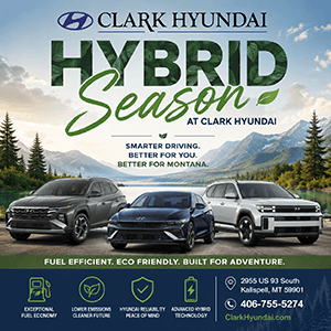 Clarke Hyundai Hybrid