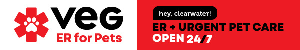 Veg ER banner ad for website_July2026