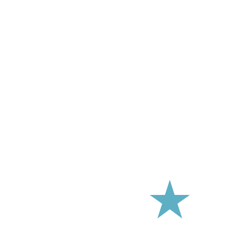 state of texas