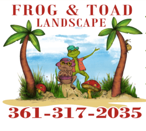 https://growthzonecmsprodeastus.azureedge.net/sites/743/2025/08/Frog-and-toad-300x270.png