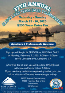 Blue Green Illustration Fishing Competition Poster Blue Green Illustration Fishing Competition Poster