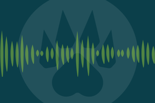 Real Rhinelander Podcast
