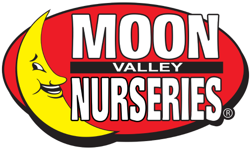 MOON VALLEY NURSERIES
