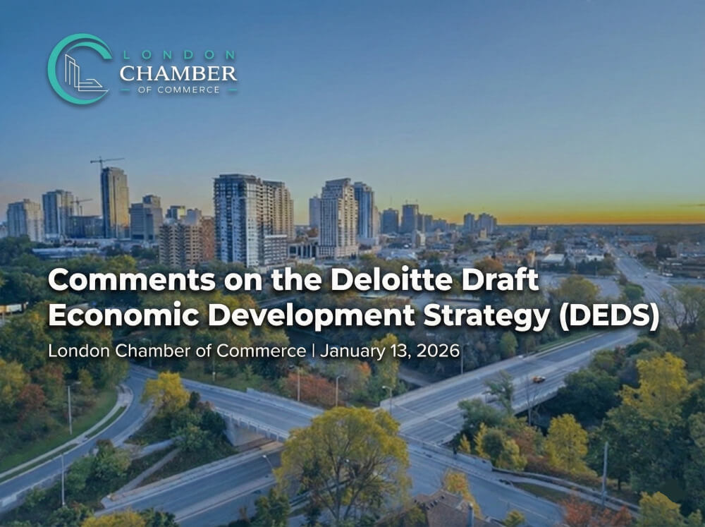 Comments on the Deloitte Draft Economic Development Strategy (DEDS ...