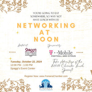 Networking at Noon Event Flyer) (Instagram Post) (4)