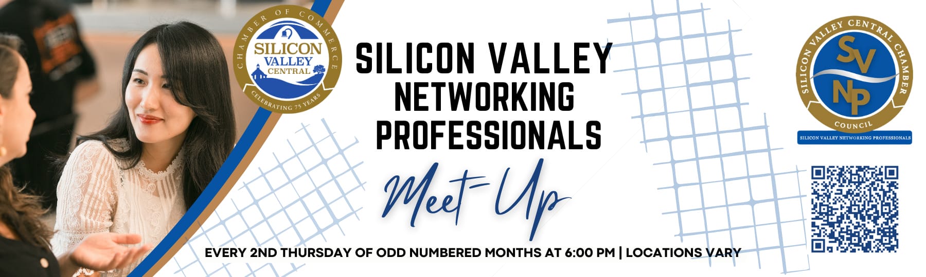 Silicon Valley Networking Professionals