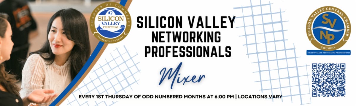 Silicon Valley Networking Professionals