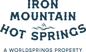 IMHS Logo_Lagoon