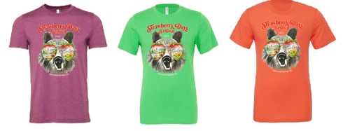 shirt 2 shirt 2