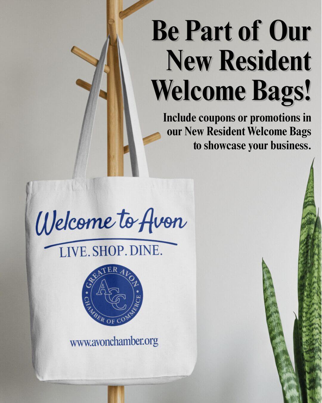 New to Avon (1) New to Avon (1)