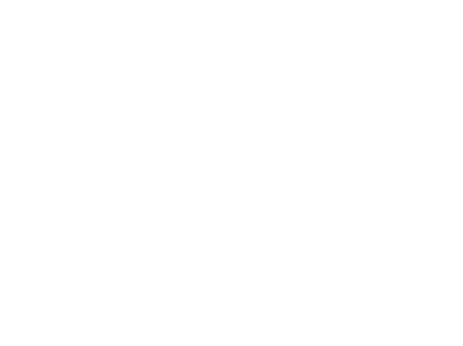 4 star distinction website logo
